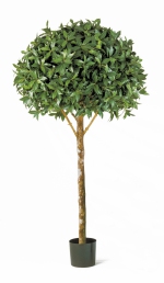 Kunstplant Laurier Bolboom Maxima 170cm